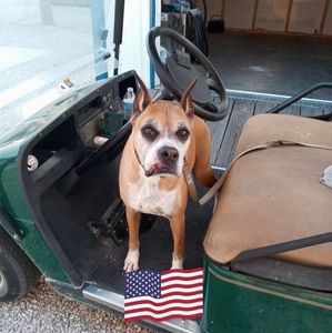 Meet your Posher, Carla